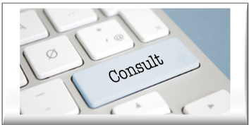 系統整合/專業顧問